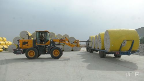新疆伽師棉花企業開足馬力忙生產