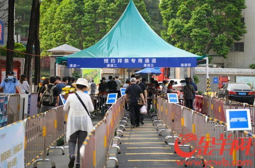 清明假期首日廣州逾12萬人現場祭掃,無煙拜祭鮮花拜祭成新風尚
