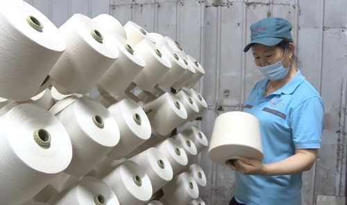 新疆合創(chuàng)棉業(yè) 使用新疆棉 紡出好棉紗