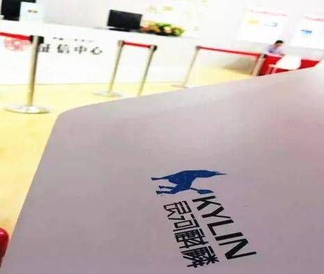 立春這一天,我們想秀一秀銀河麒麟的定制化業務